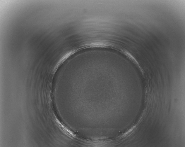 X0000080150930200612151826