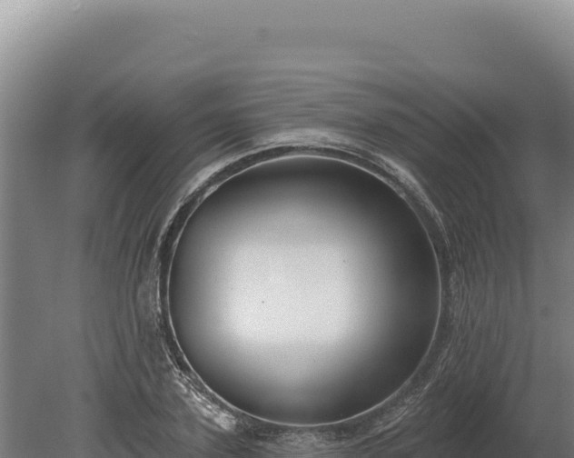 X0000080150931200612151826