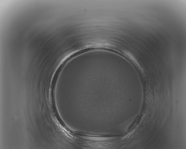 X0000080150932200612151826