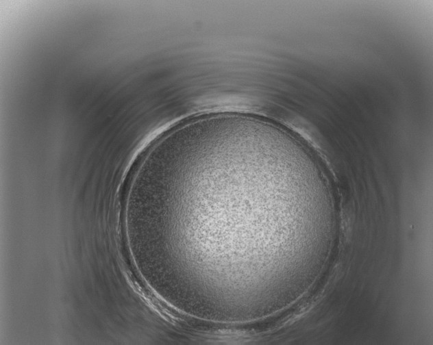 X0000080150933200612151826