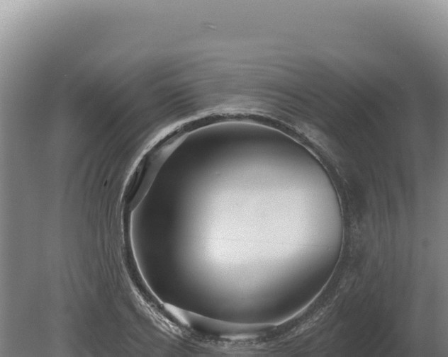 X0000080150934200612151826