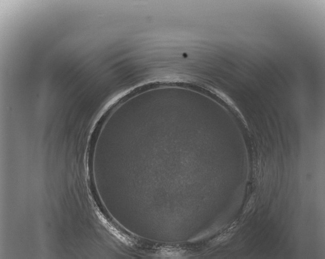 X0000080150935200612151826