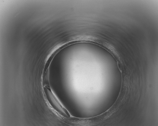 X0000080150936200612151826