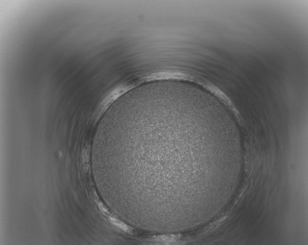 X0000080150937200612151826