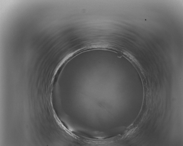 X0000080150941200612151826