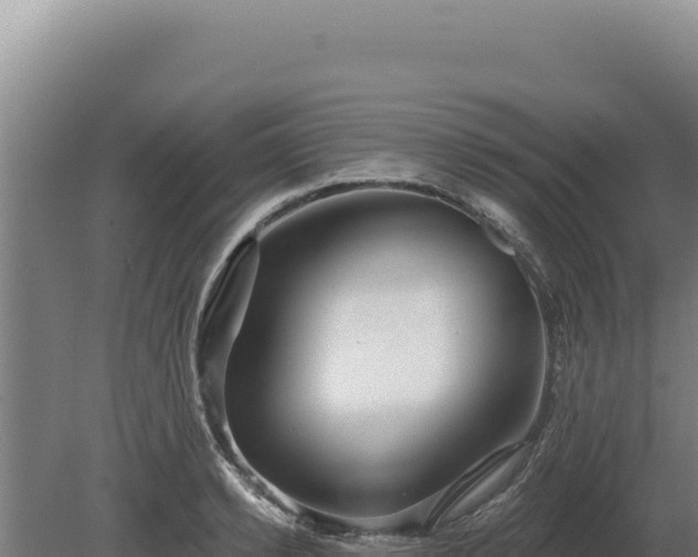 X0000080150942200612151826