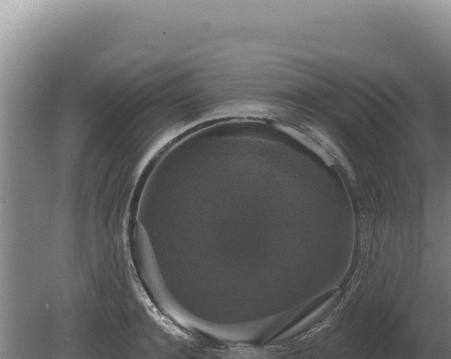 X0000080150944200612151826