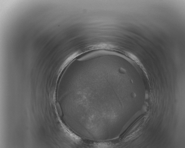 X0000080150946200612151826