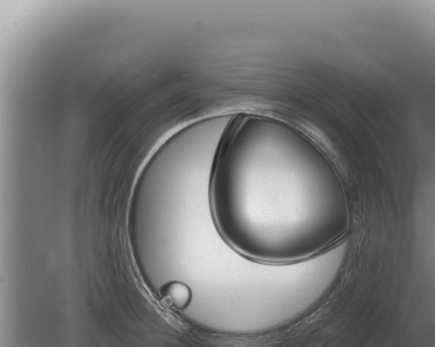 X0000080150948200612151827