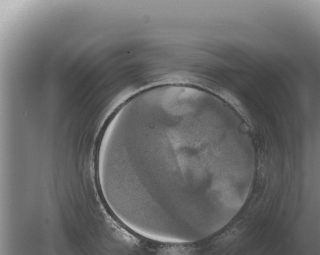 X0000080150950200612151827