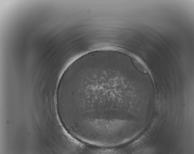 X0000080150951200612151827