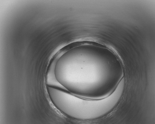 X0000080150952200612151827