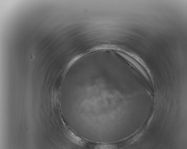 X0000080150953200612151827