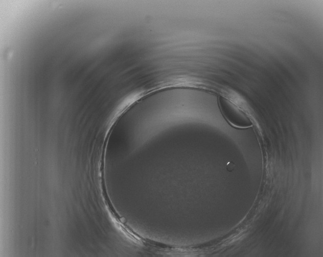 X0000080150954200612151827