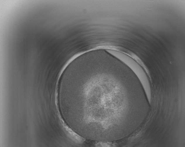 X0000080150955200612151827