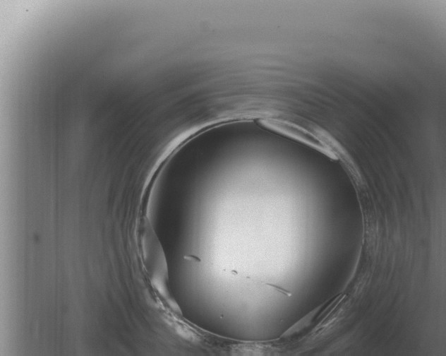 X0000080150956200612151827