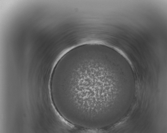 X0000080150959200612151827