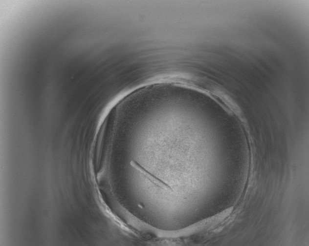 X0000080150960200612151827