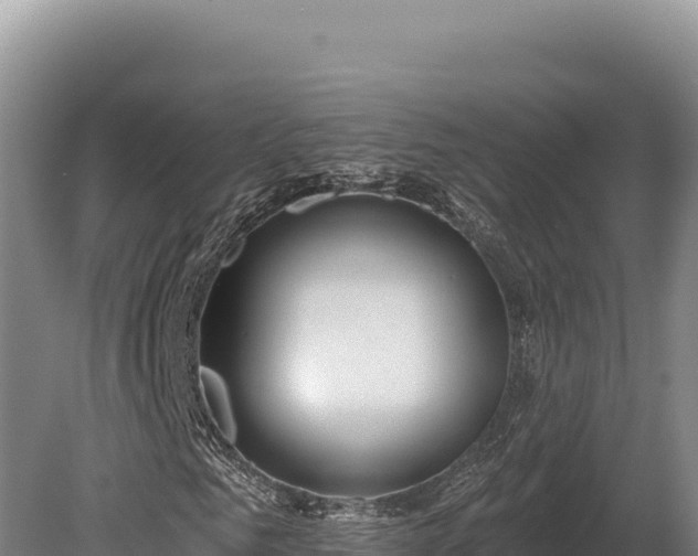 X0000080150961200612151826