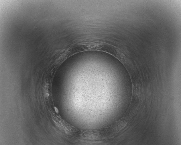 X0000080150962200612151826