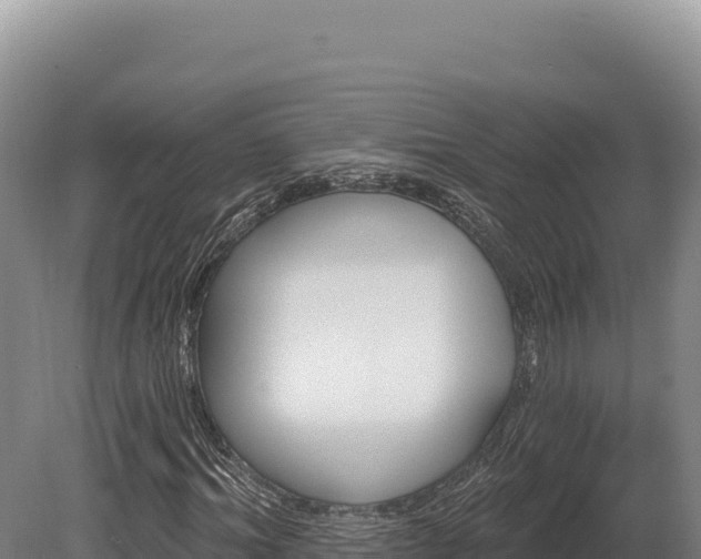 X0000080150964200612151826