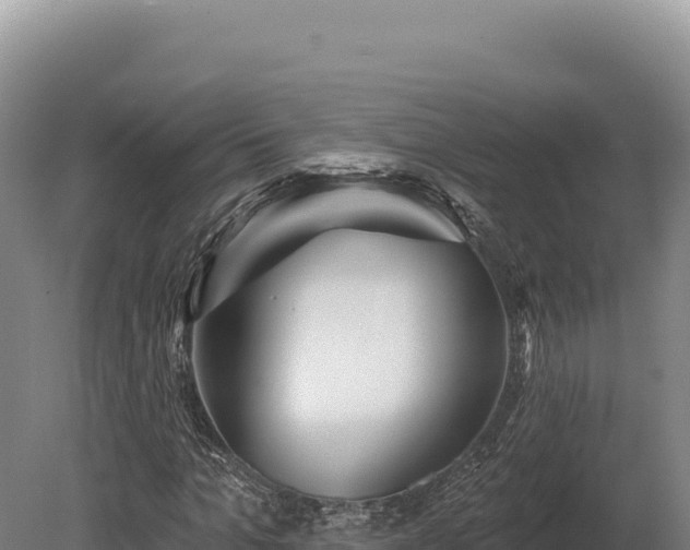 X0000080150965200612151826