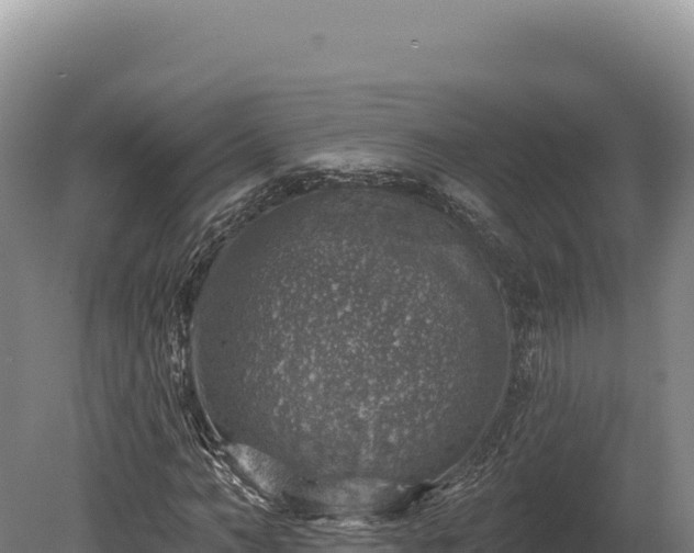 X0000080150966200612151826