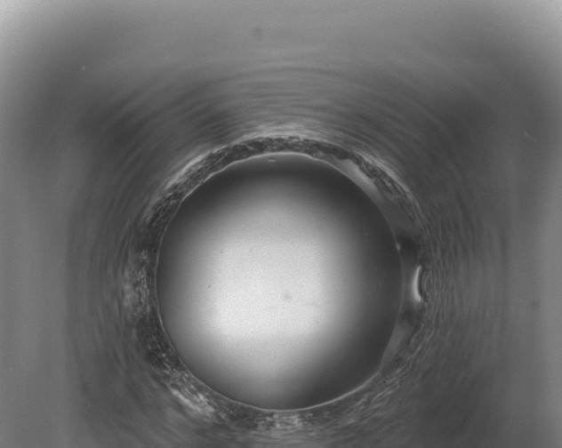 X0000080150968200612151826