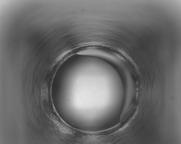 X0000080150969200612151826