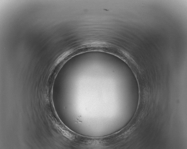 X0000080150970200612151826