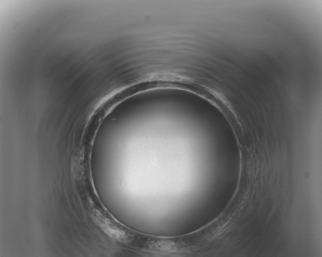 X0000080150971200612151826