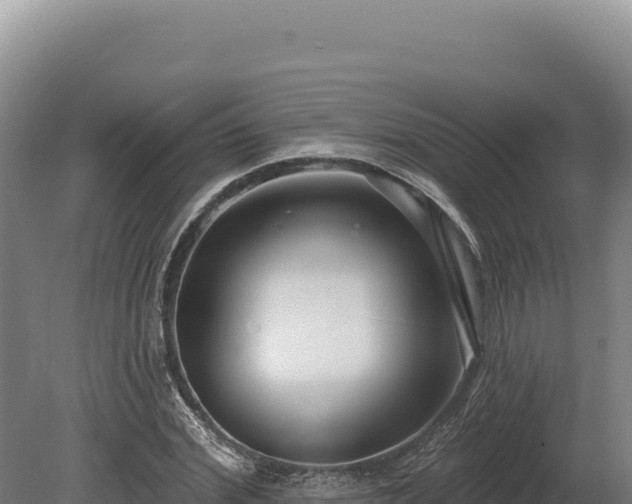 X0000080150972200612151826