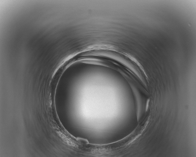 X0000080150973200612151826