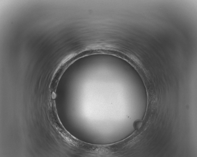 X0000080150974200612151826