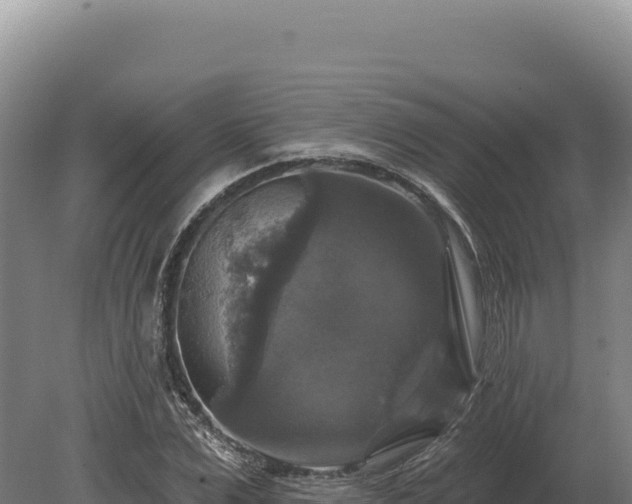 X0000080150975200612151826