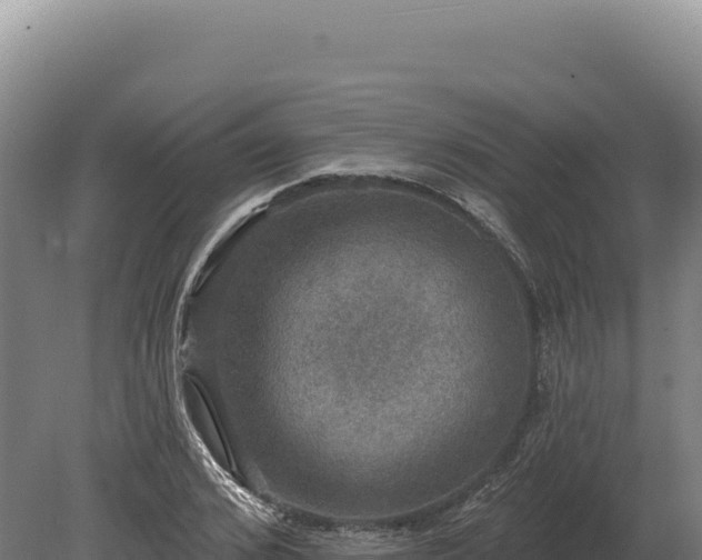 X0000080150976200612151826