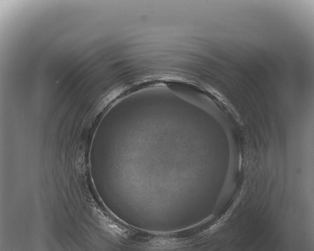 X0000080150977200612151826