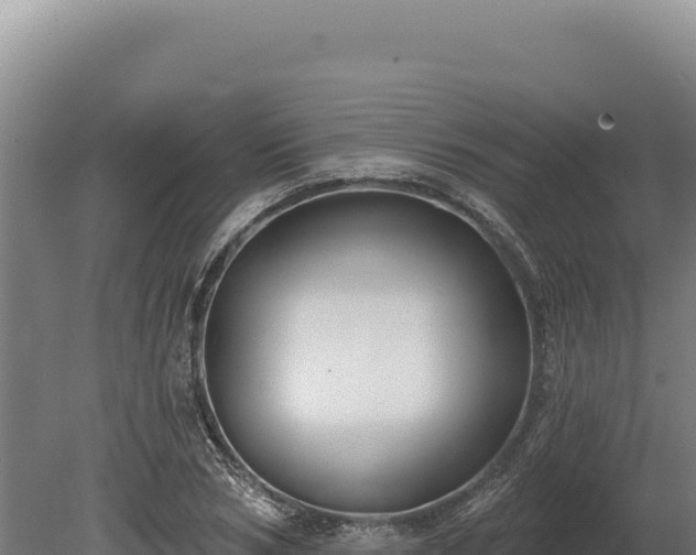 X0000080150978200612151826