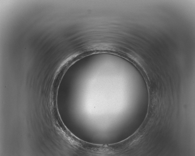 X0000080150979200612151826