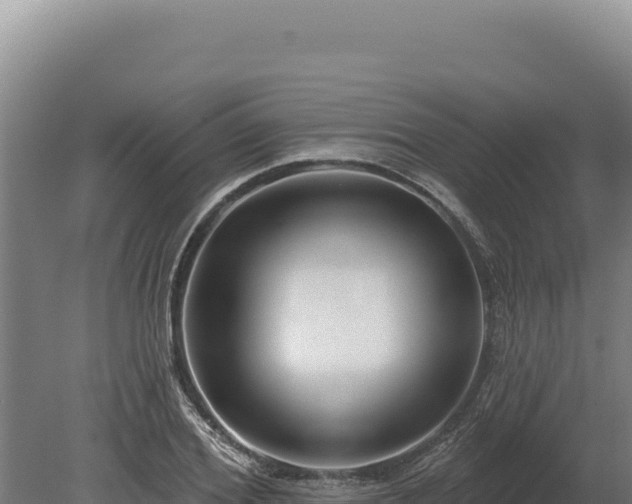 X0000080150980200612151826