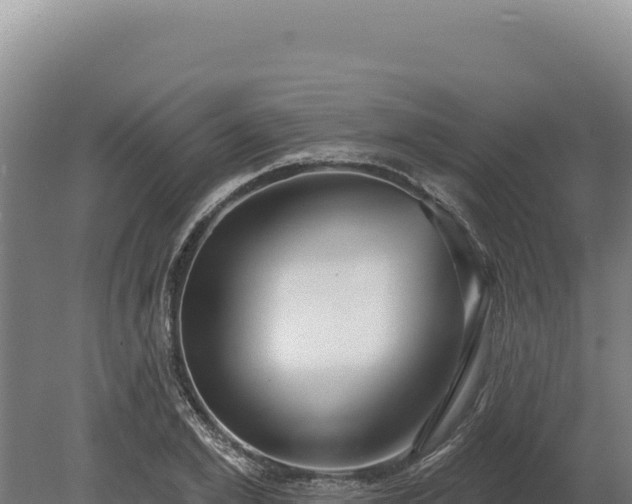 X0000080150981200612151826