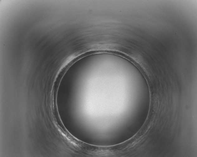 X0000080150982200612151826