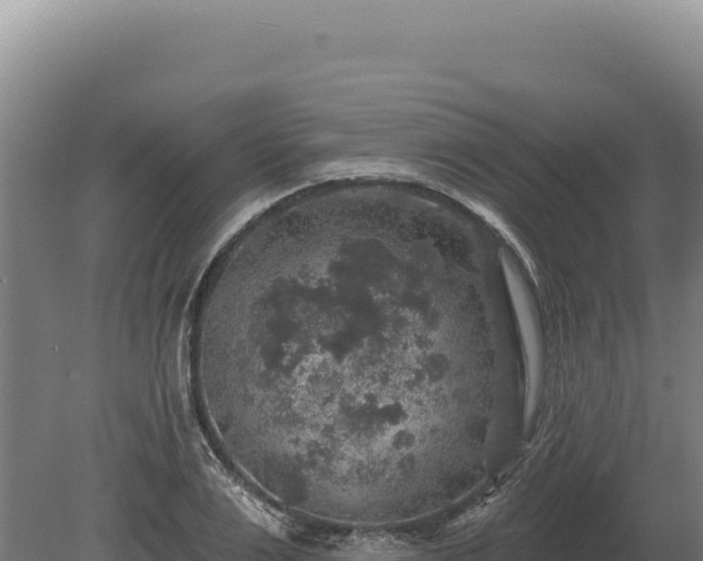 X0000080150983200612151826