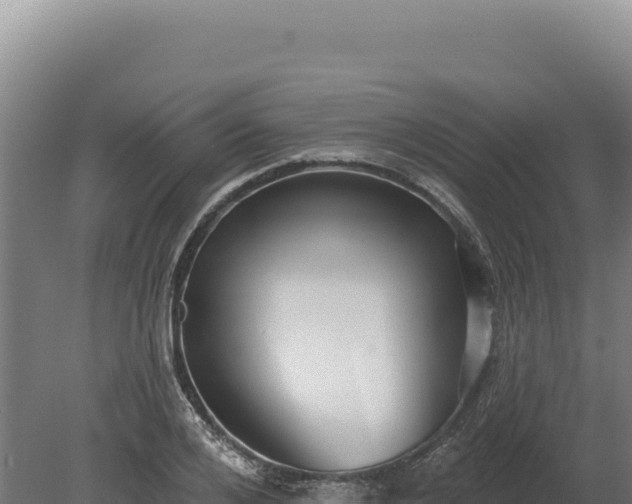 X0000080150984200612151826