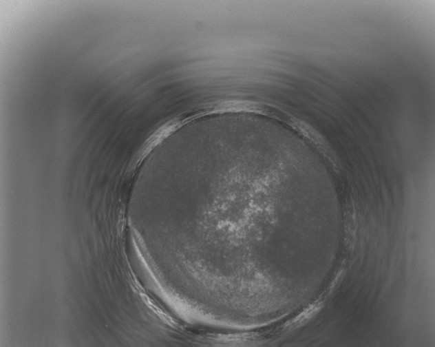 X0000080150985200612151826