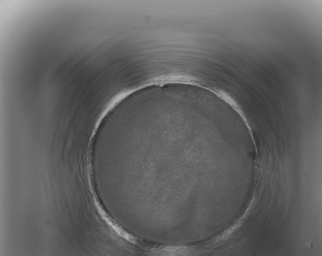 X0000080150989200612151825