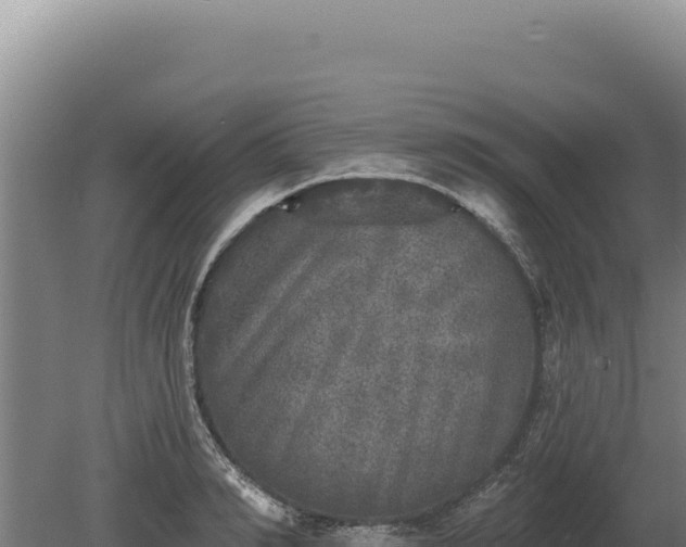 X0000080150990200612151825