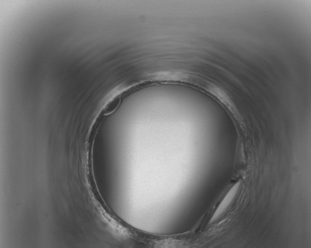 X0000080150992200612151825