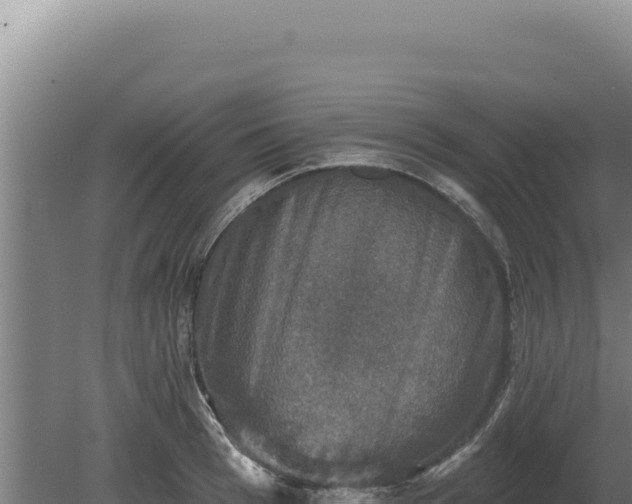 X0000080150993200612151825