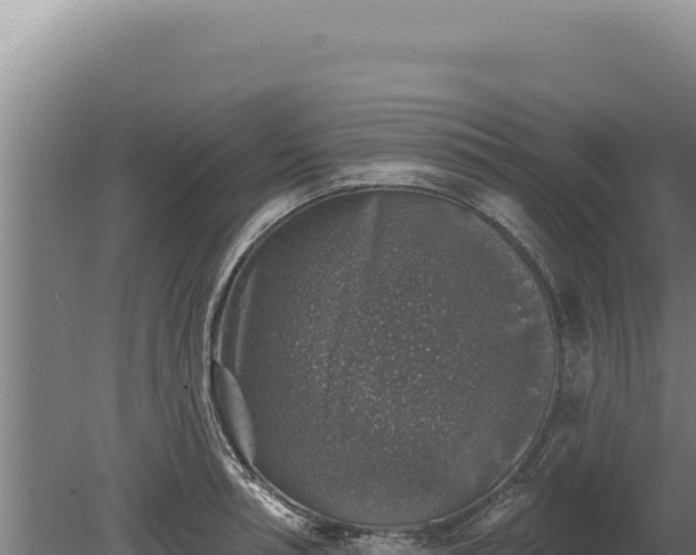 X0000080150994200612151825